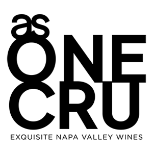 Home Logo asonecru