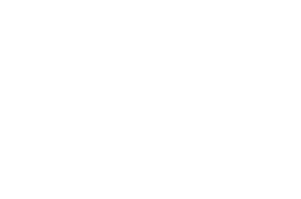 logo NIM
